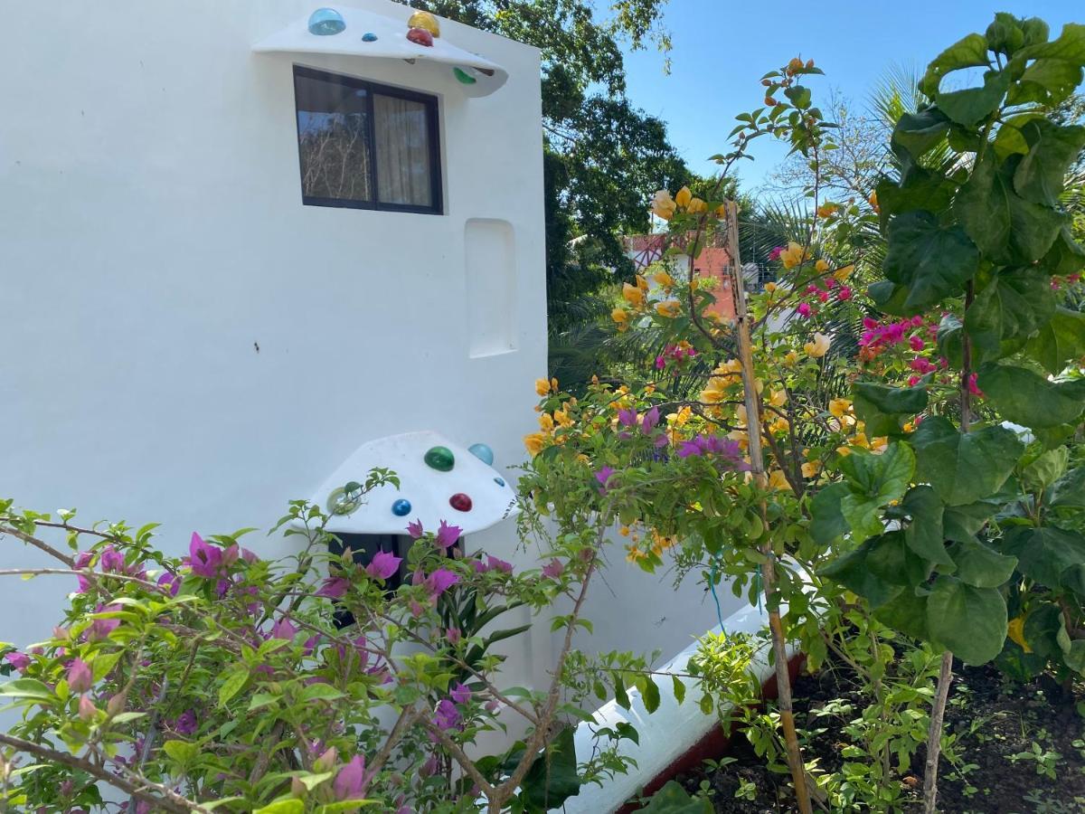Maison Bacalar Exterior photo