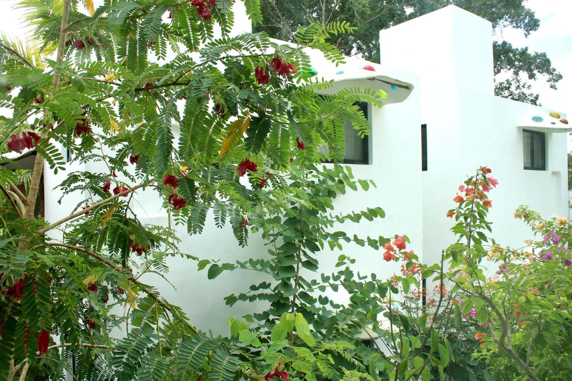 Maison Bacalar Exterior photo