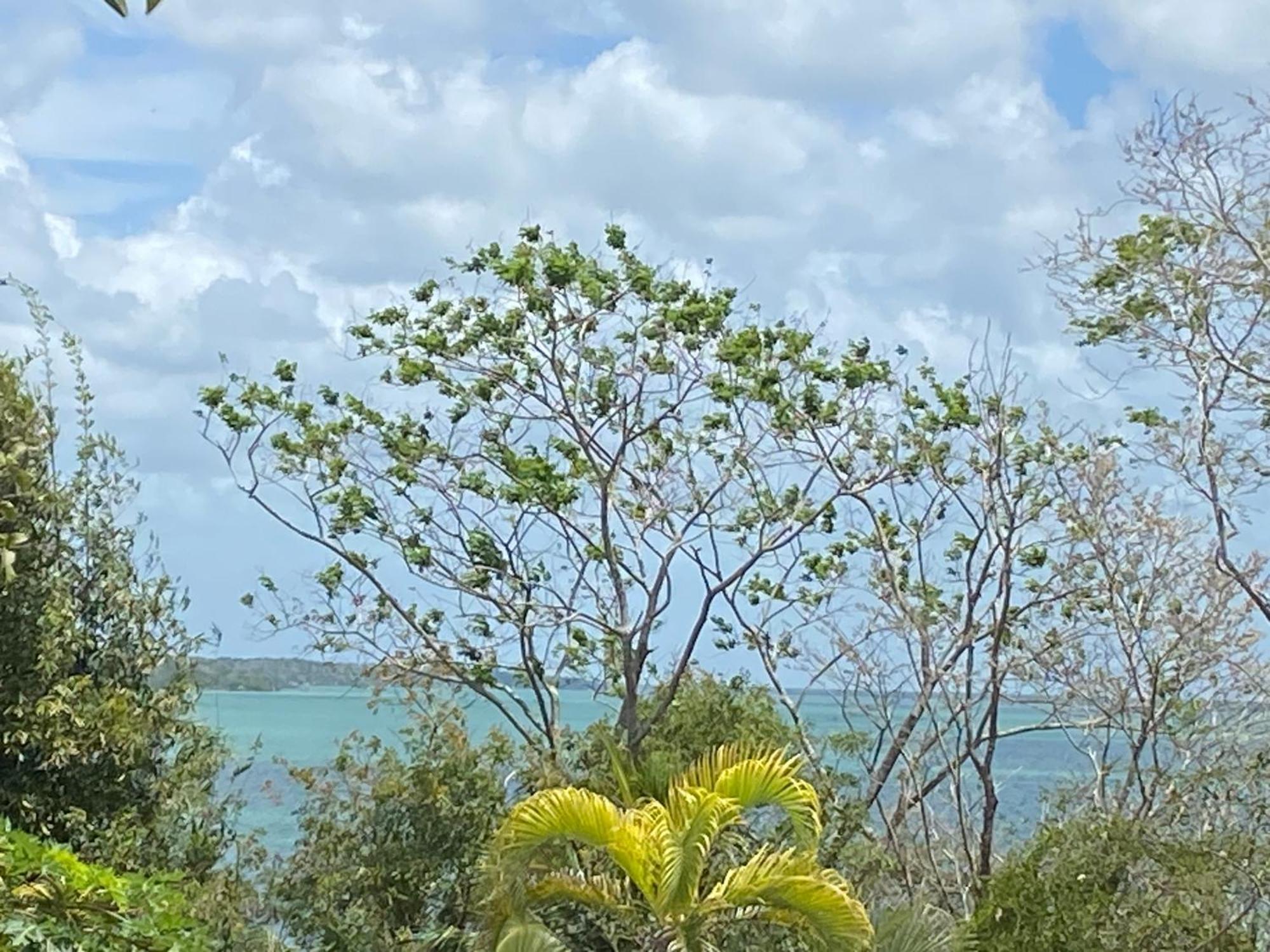 Maison Bacalar Exterior photo